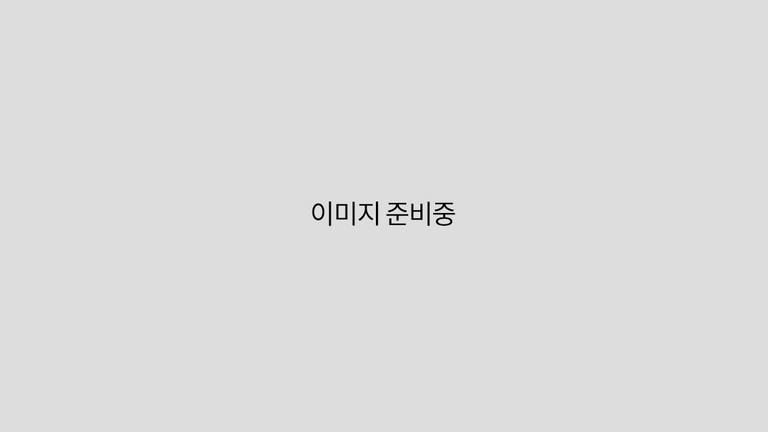 이미지 준비중
